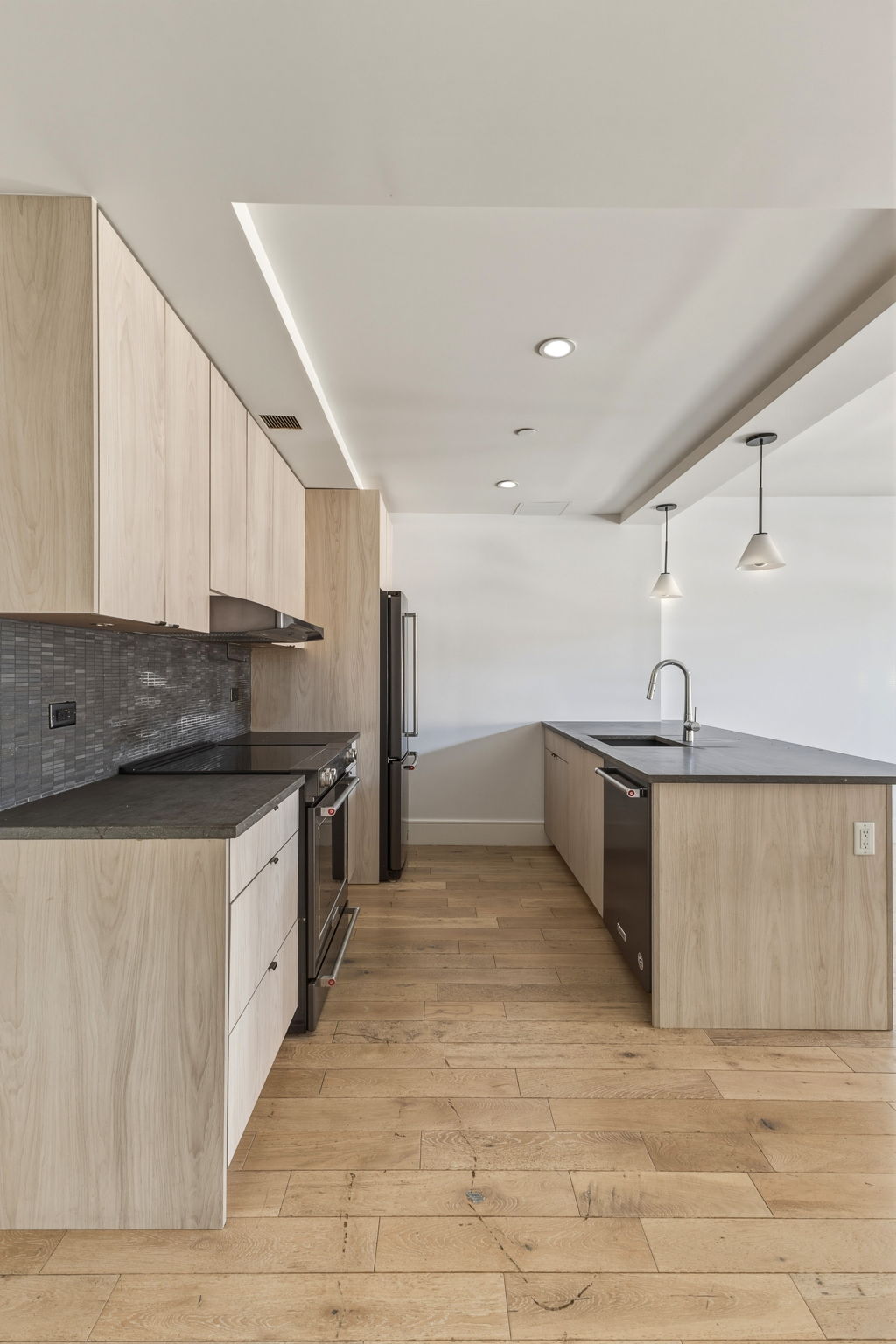 15 East 19th Street, Unit 1B Brooklyn, NY 11226 - Photo 3 of 15