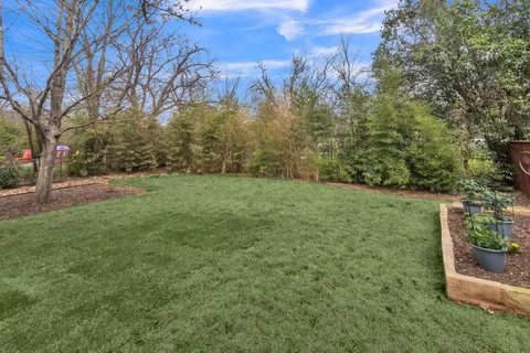 a view of a trees with a yard