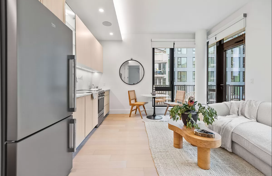 218 Front Street, Unit 231 Brooklyn, NY 11201 - Photo 6 of 35 a living room with furniture a large window and potted plants
