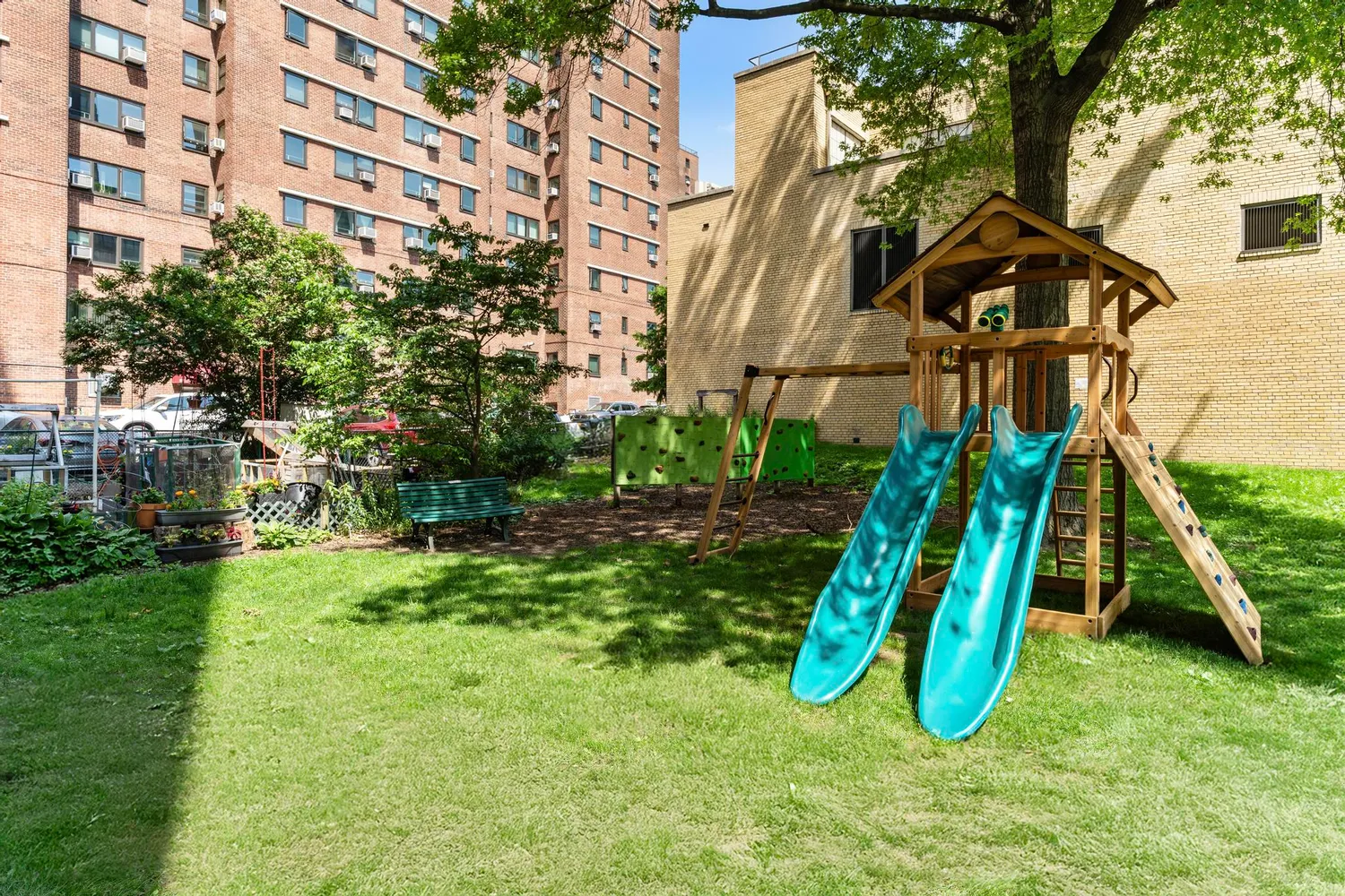 a view of a backyard with plants and a slide