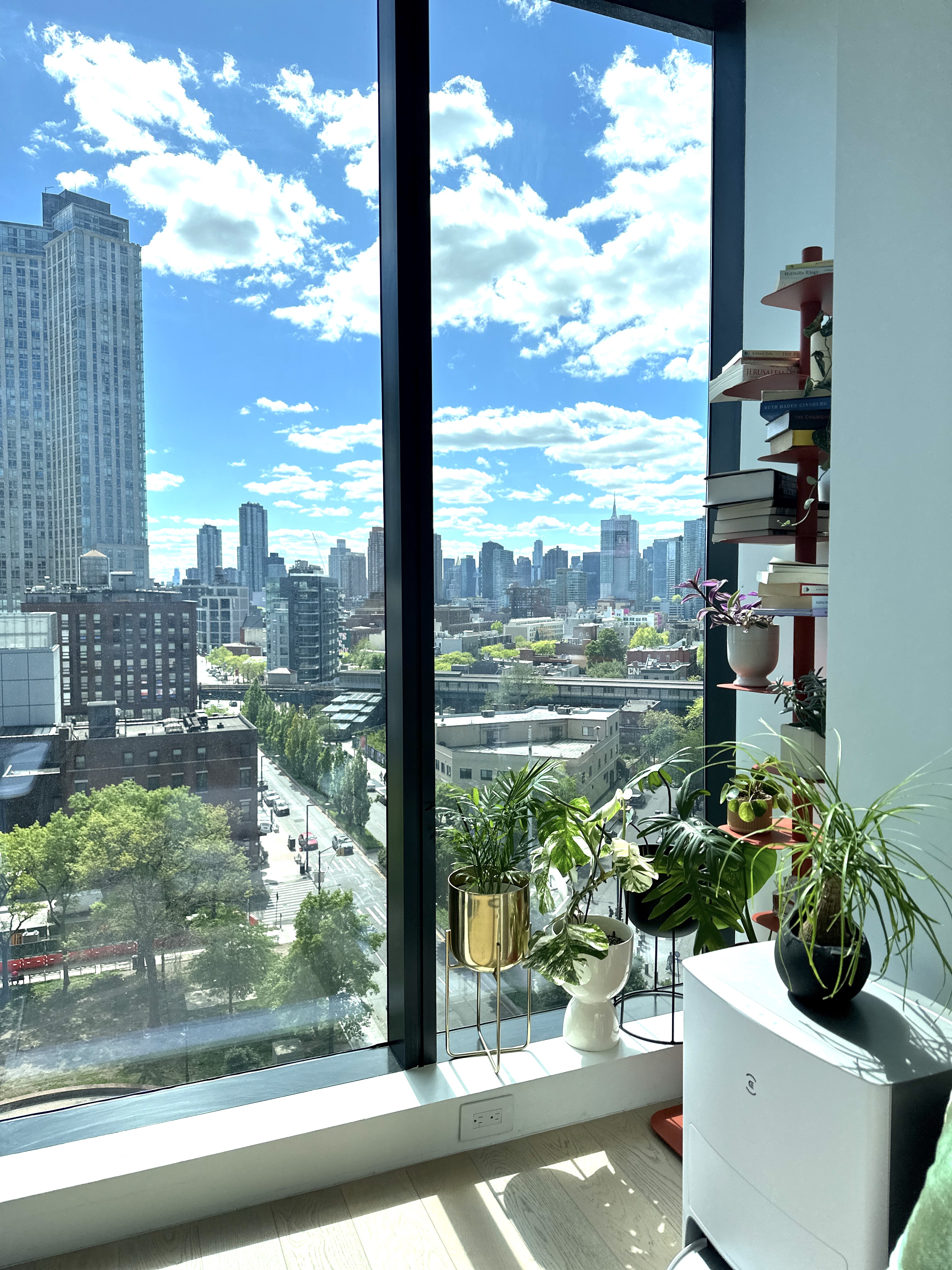 4507 Court Square West, Unit 10E Queens, NY 11101 - Photo 6 of 14 a view of a lot of a flower garden and a window