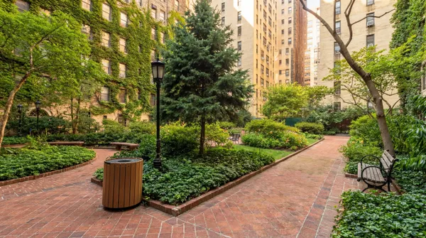 a park view with large trees