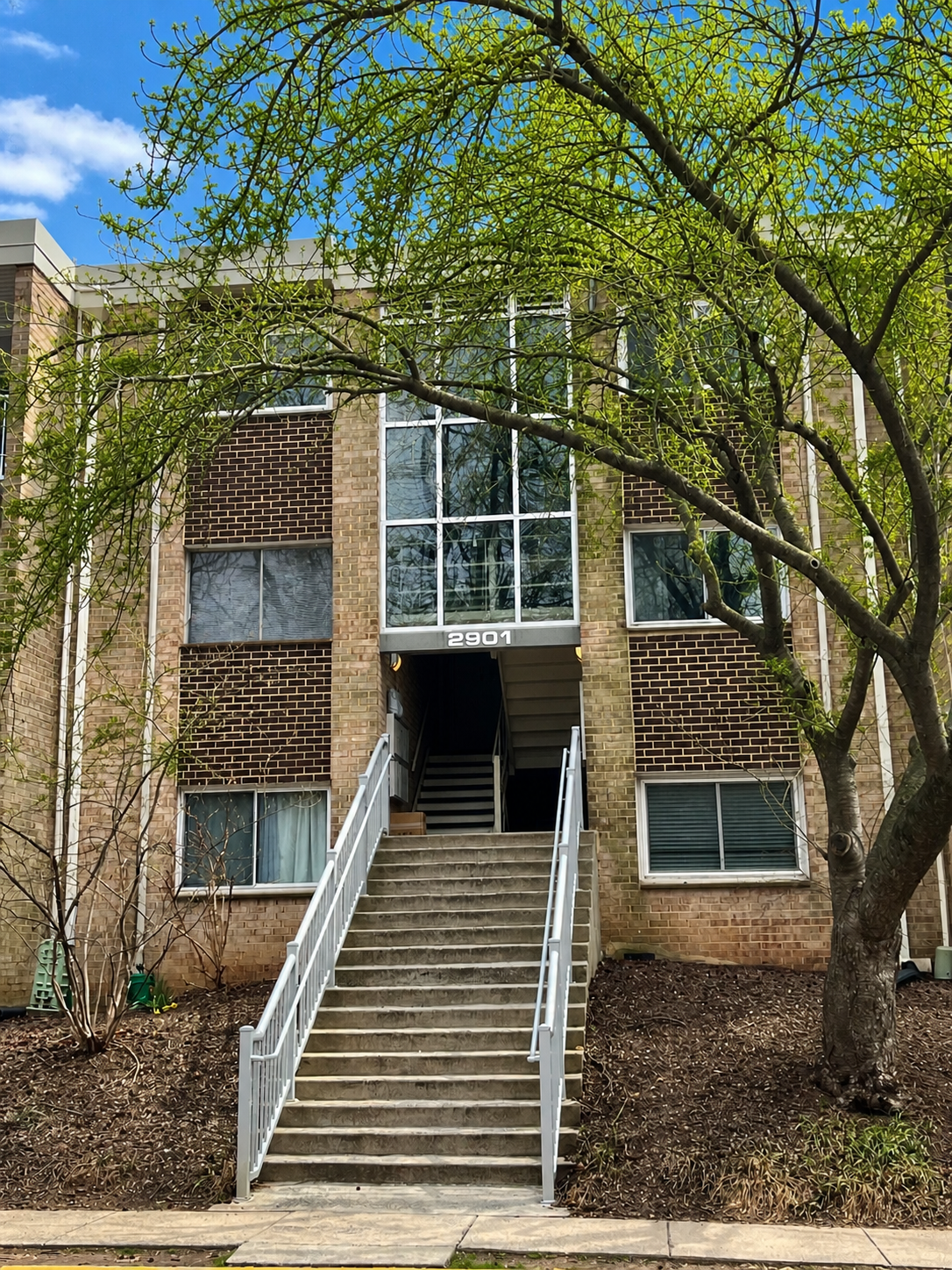 2901 Charing Cross Road, Unit 11 Falls Church, VA 22042 - Photo 1 of 1 a view of a house with a door and a large tree