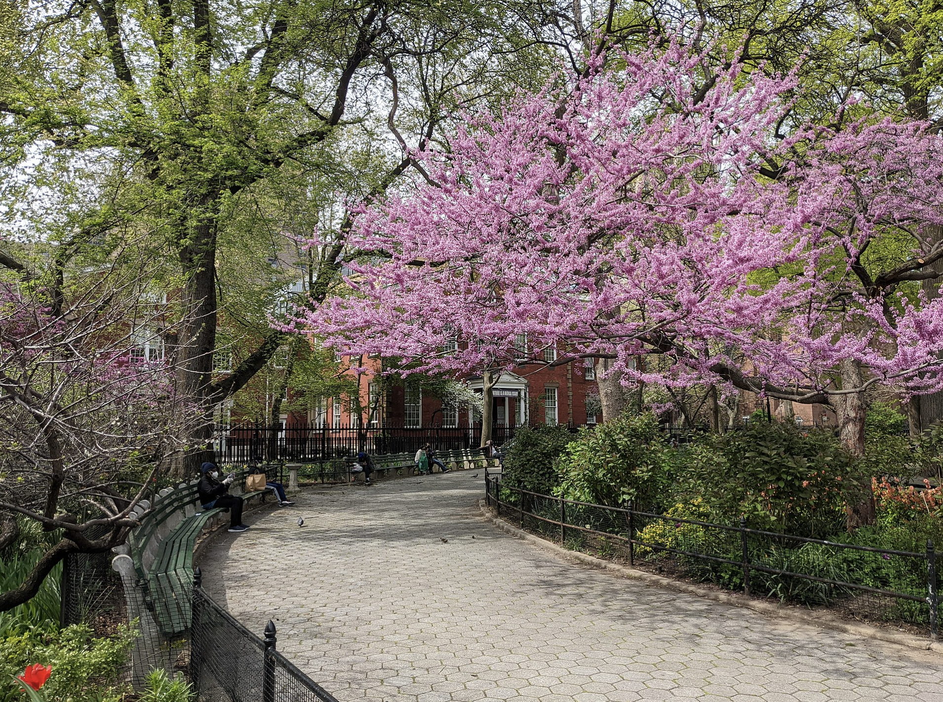 305 2nd Avenue, Unit 325 Manhattan, NY 10003 - Photo 21 of 22 a front view of a multi story building with yard
