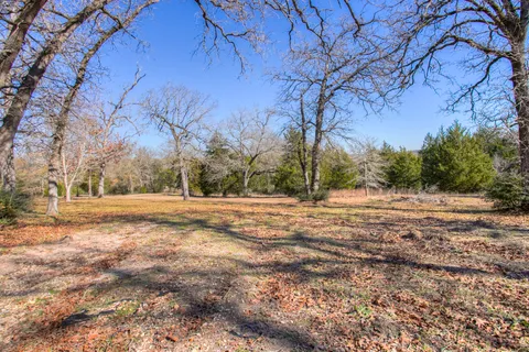 a backyard of a house with trees