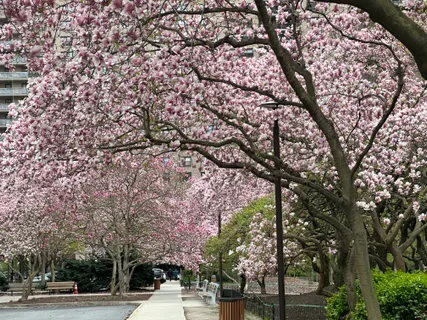 a view of a city view