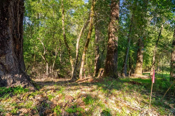 $125,000 | 10608 Canyon Road, Forestville, CA 95436