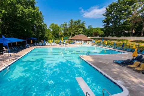 a view of a swimming pool with a patio and a yard