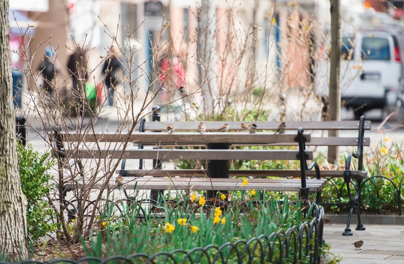 $3,600 | 30 Cornelia Street, Unit 14 | West Village