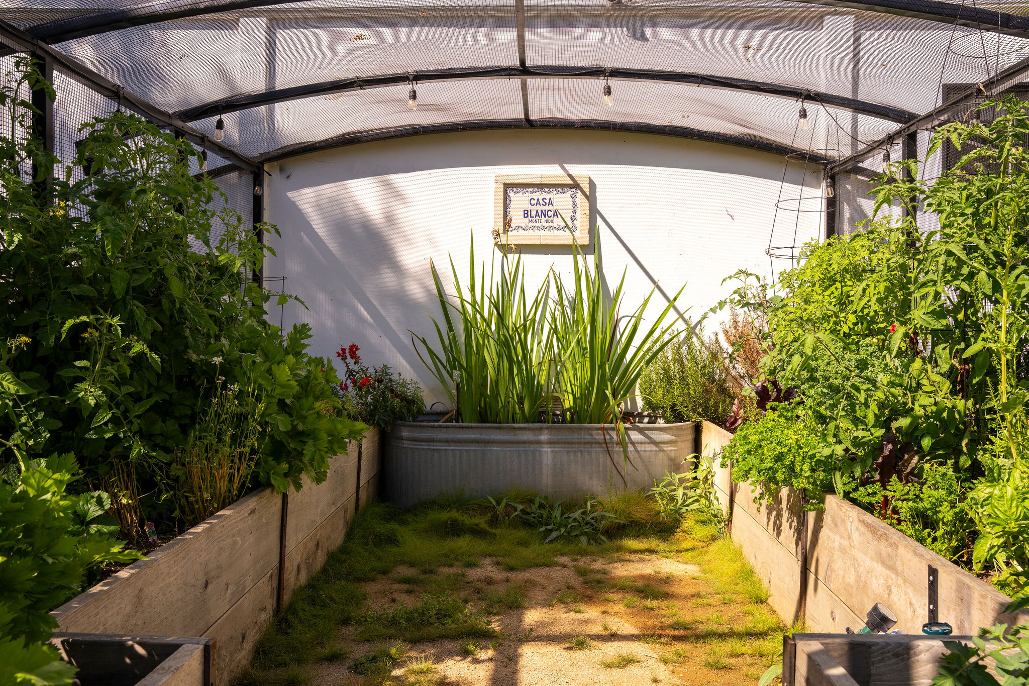 560 Cold Canyon Road Calabasas, CA 91302 - Photo 54 of 84 a view of a yard with plants