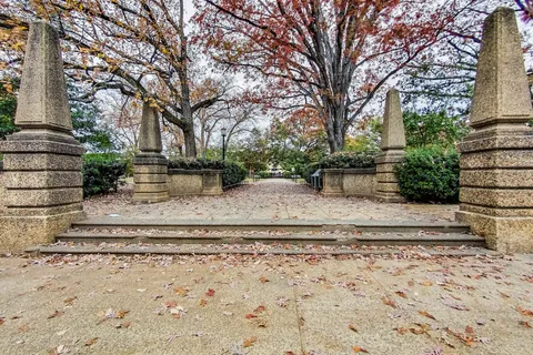 a view of a yard with plants and large trees