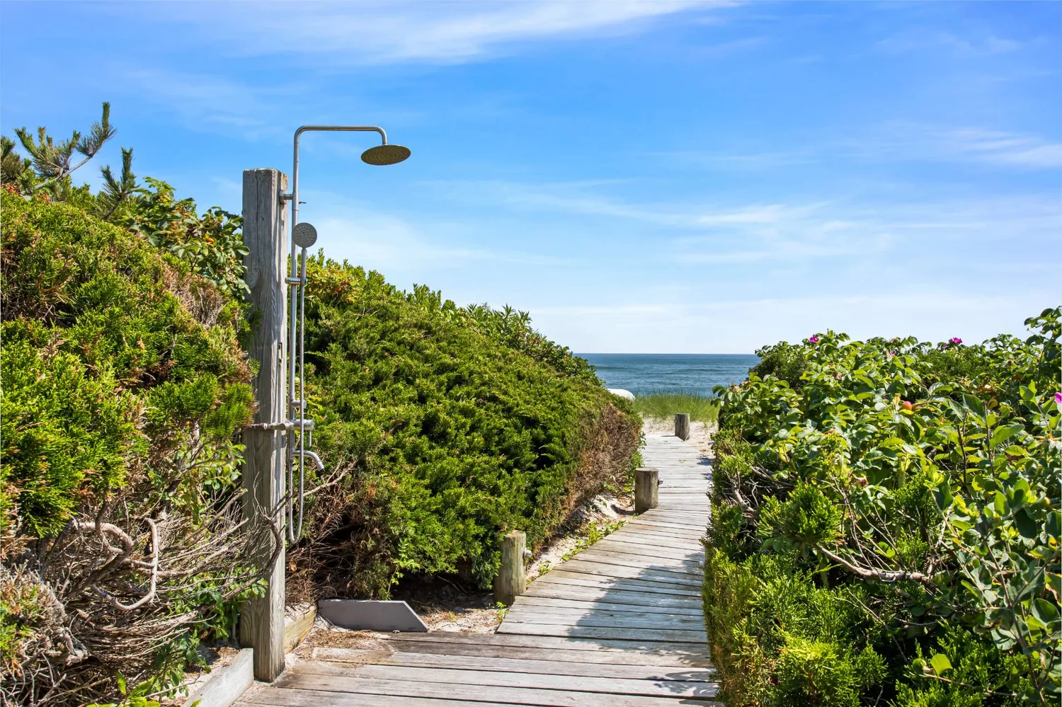 a view of a pathway both side of building