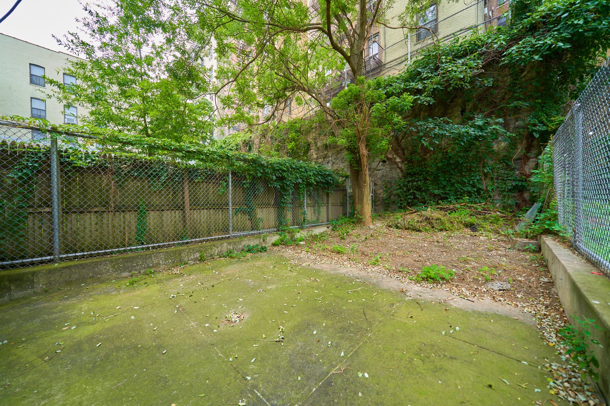 197 Edgecombe Avenue Manhattan, NY 10030 - Photo 10 of 12 a backyard of a house with lots of green space