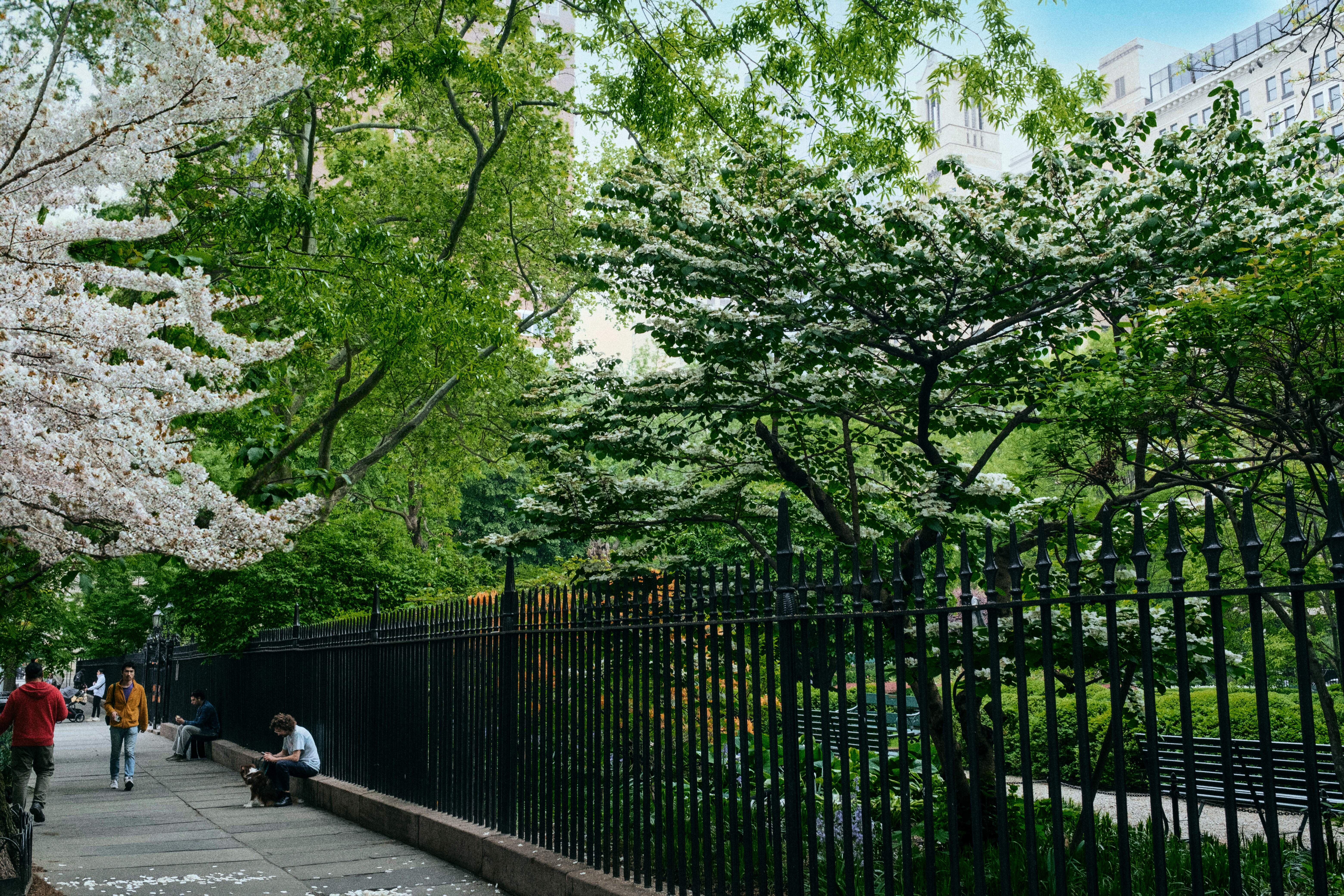 51 Irving Place, Unit 3D Manhattan, NY 10003 - Photo 3 of 4 a backyard of a house with lots of green space