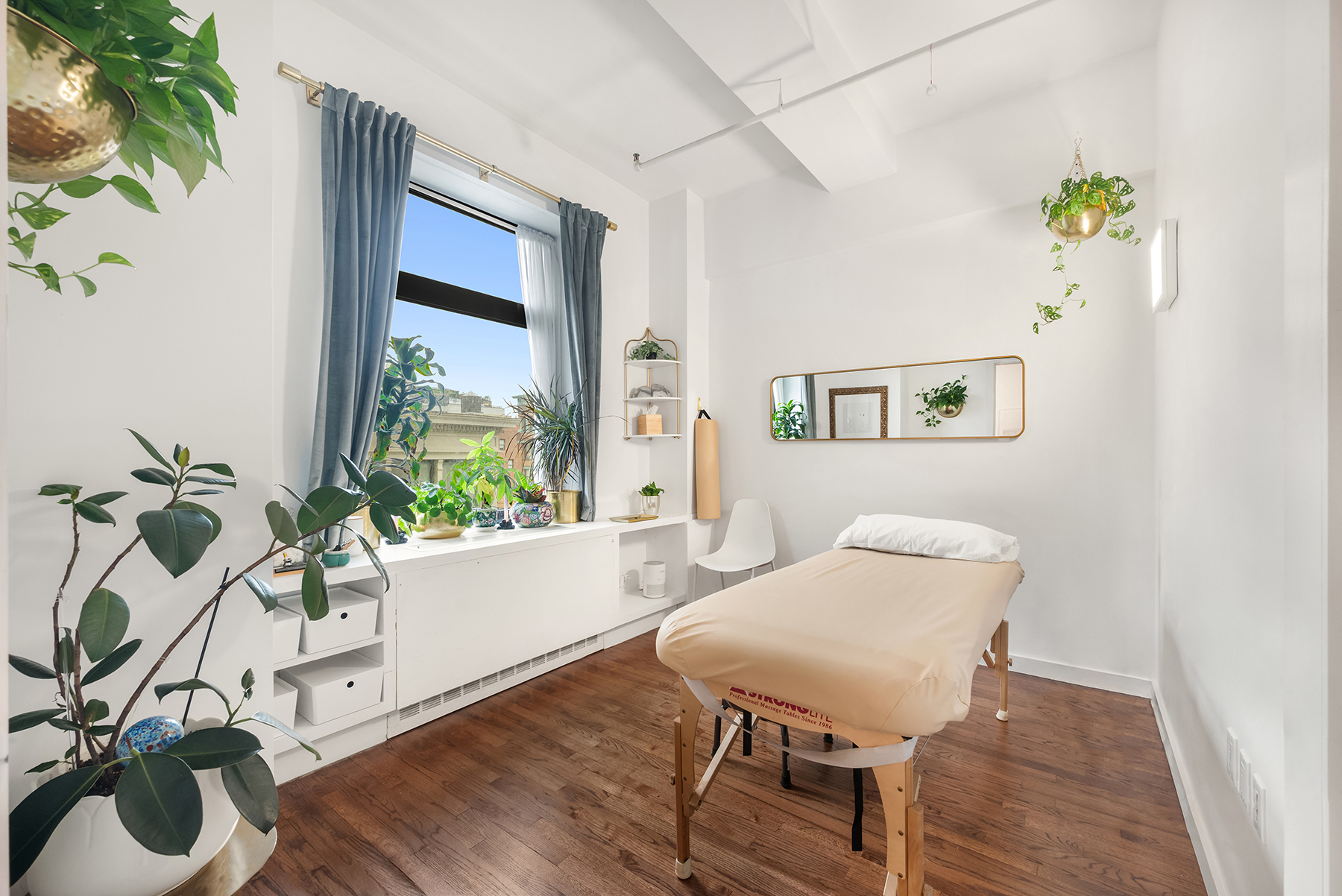 a living room with furniture and a potted plant