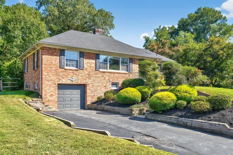 a view of a house with backyard and plants