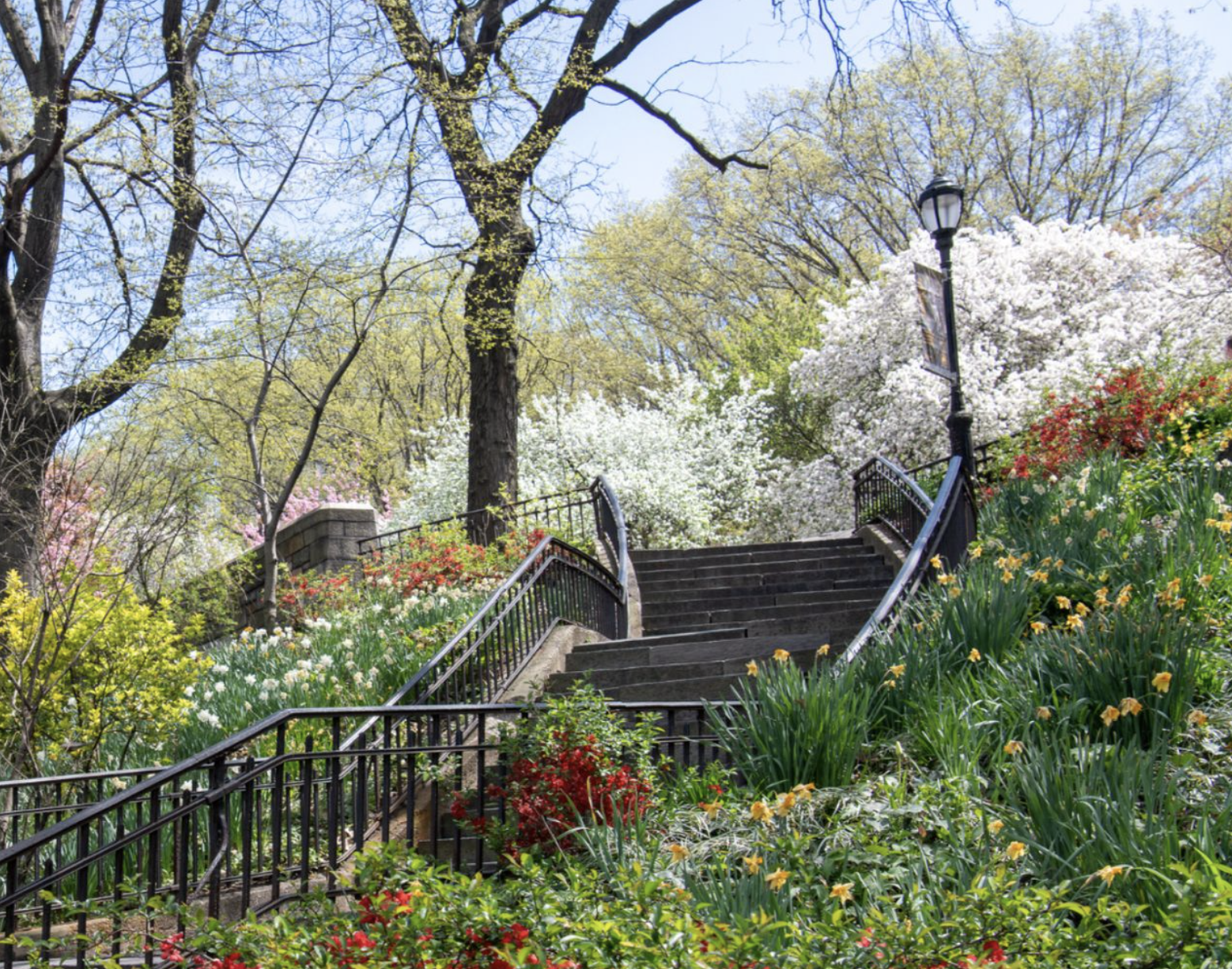230 Riverside Drive, Unit 2G Manhattan, NY 10025 - Photo 10 of 11