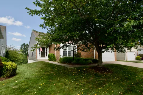 a view of a white house next to a yard with plants and trees