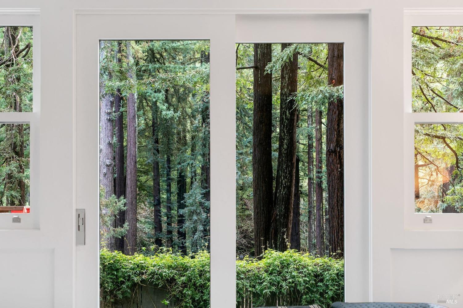 29 Millard Road Larkspur, CA 94939 - Photo 42 of 56