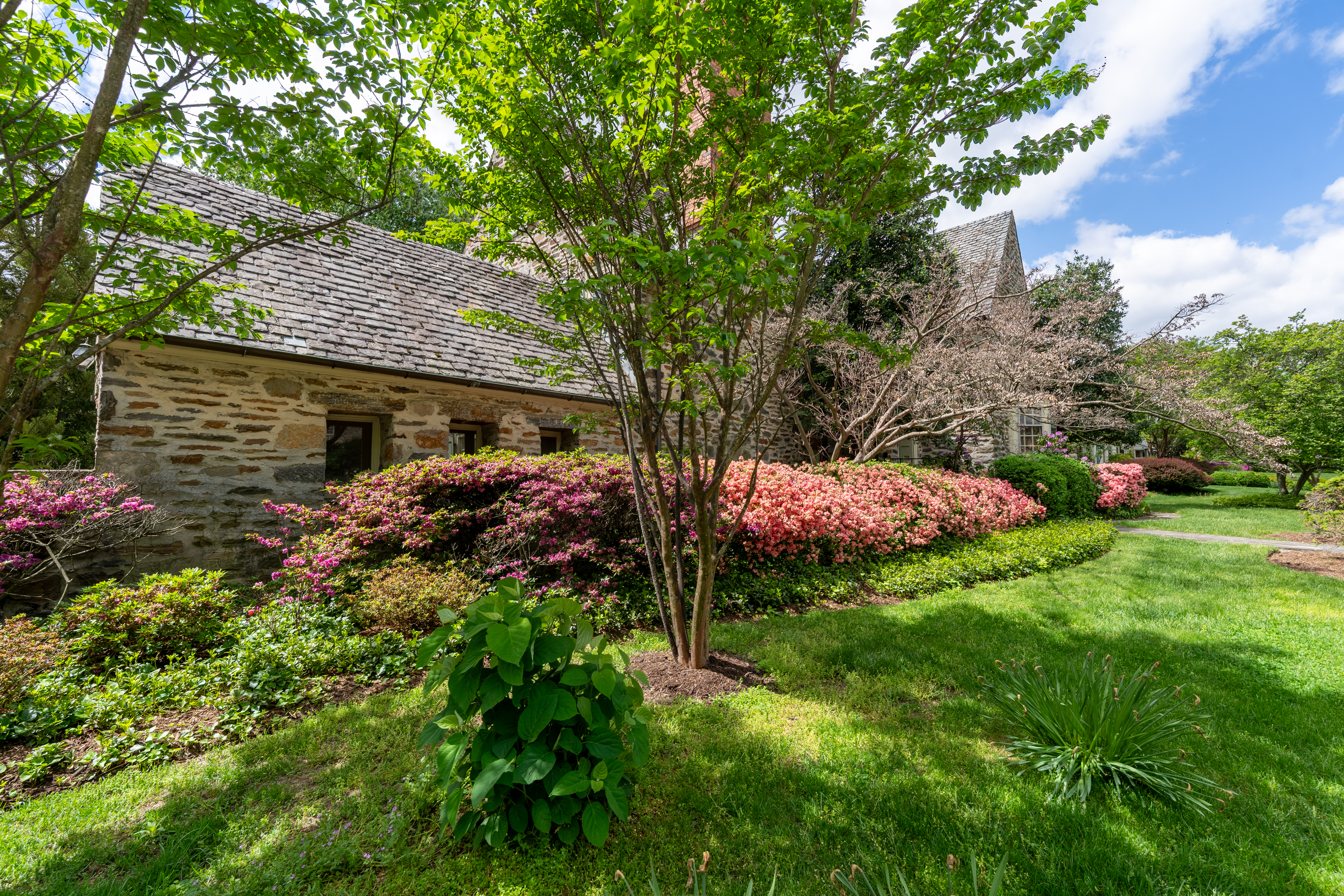 215 Paddington Road Baltimore, MD 21212 - Photo 10 of 18 a backyard of a house with lots of green space
