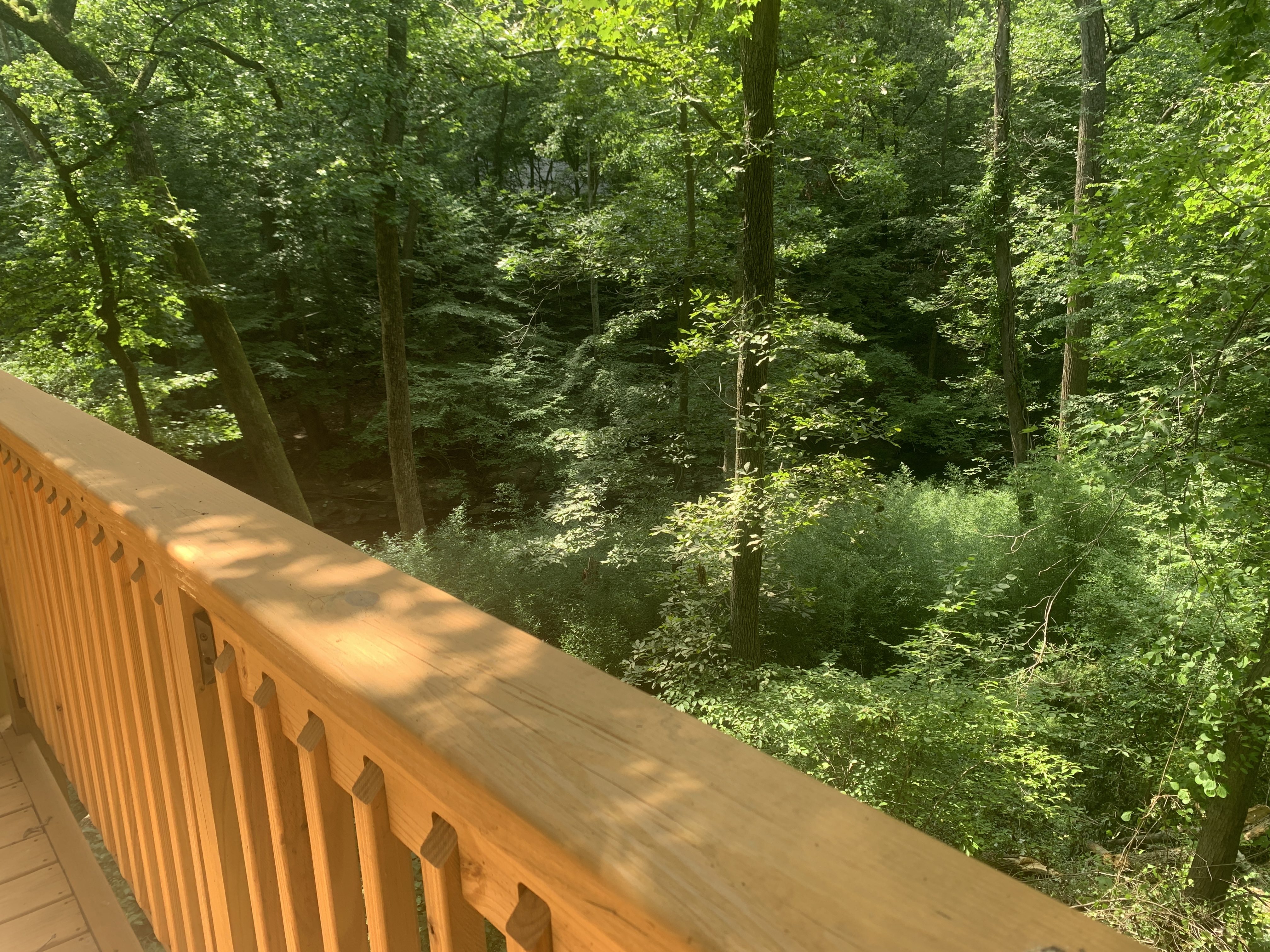 a view of balcony and yard