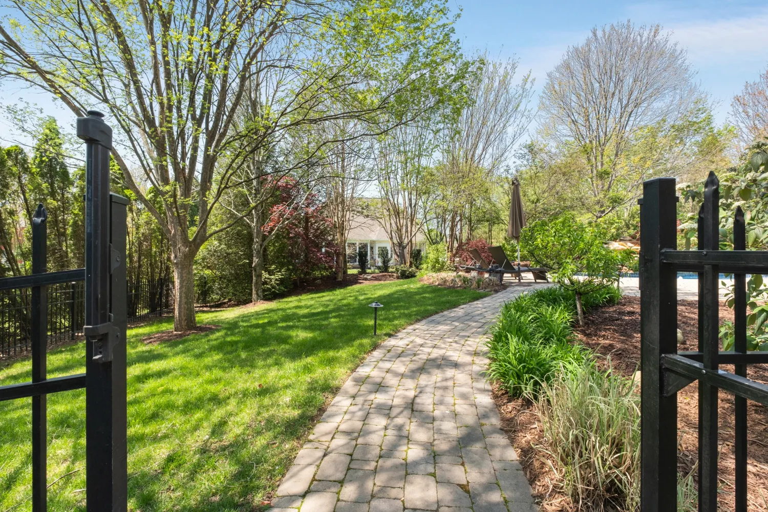 a view of a yard with plants and trees