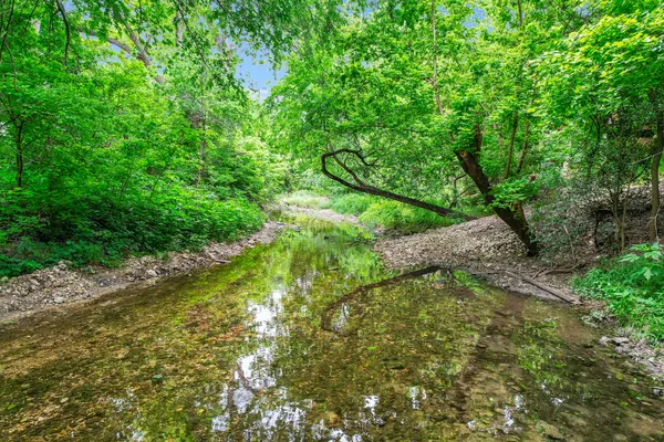a backyard of a house with lots of green space
