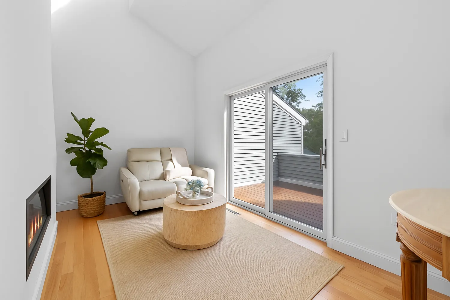 a living room with furniture and a potted plant