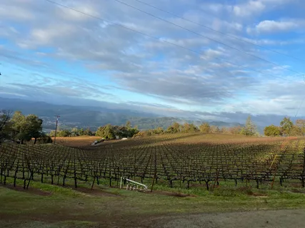 $1,795,000 | 31920 Pine Mountain Road, Cloverdale, CA 95425
