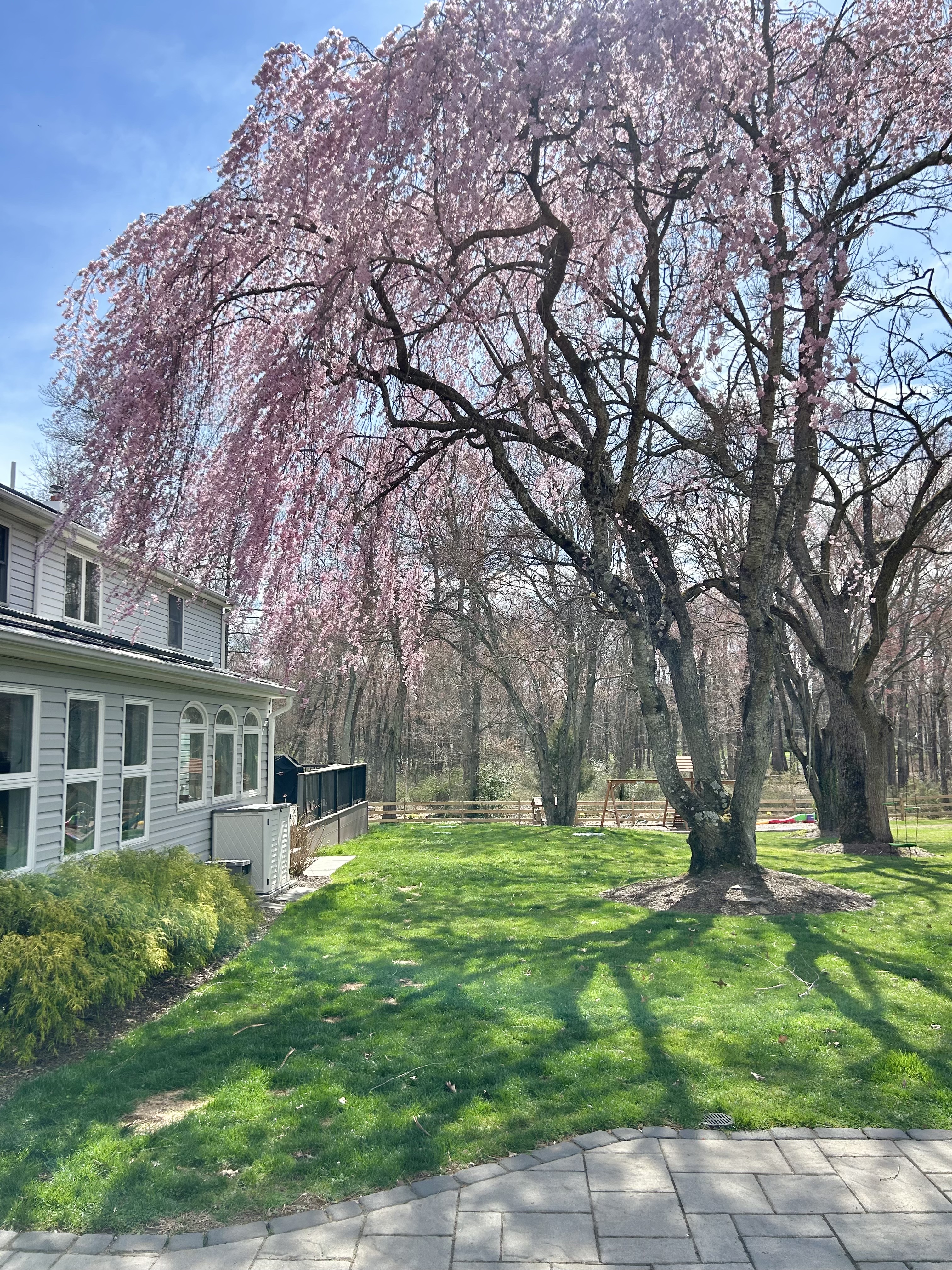 Undisclosed Buckingham, PA 18902 - Photo 8 of 17