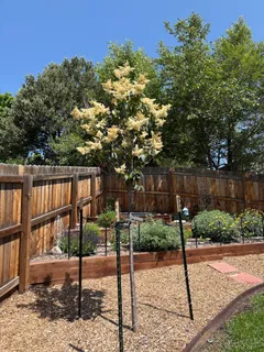 $494,000 | 3160 Westcliff Drive East, Colorado Springs, CO 80906