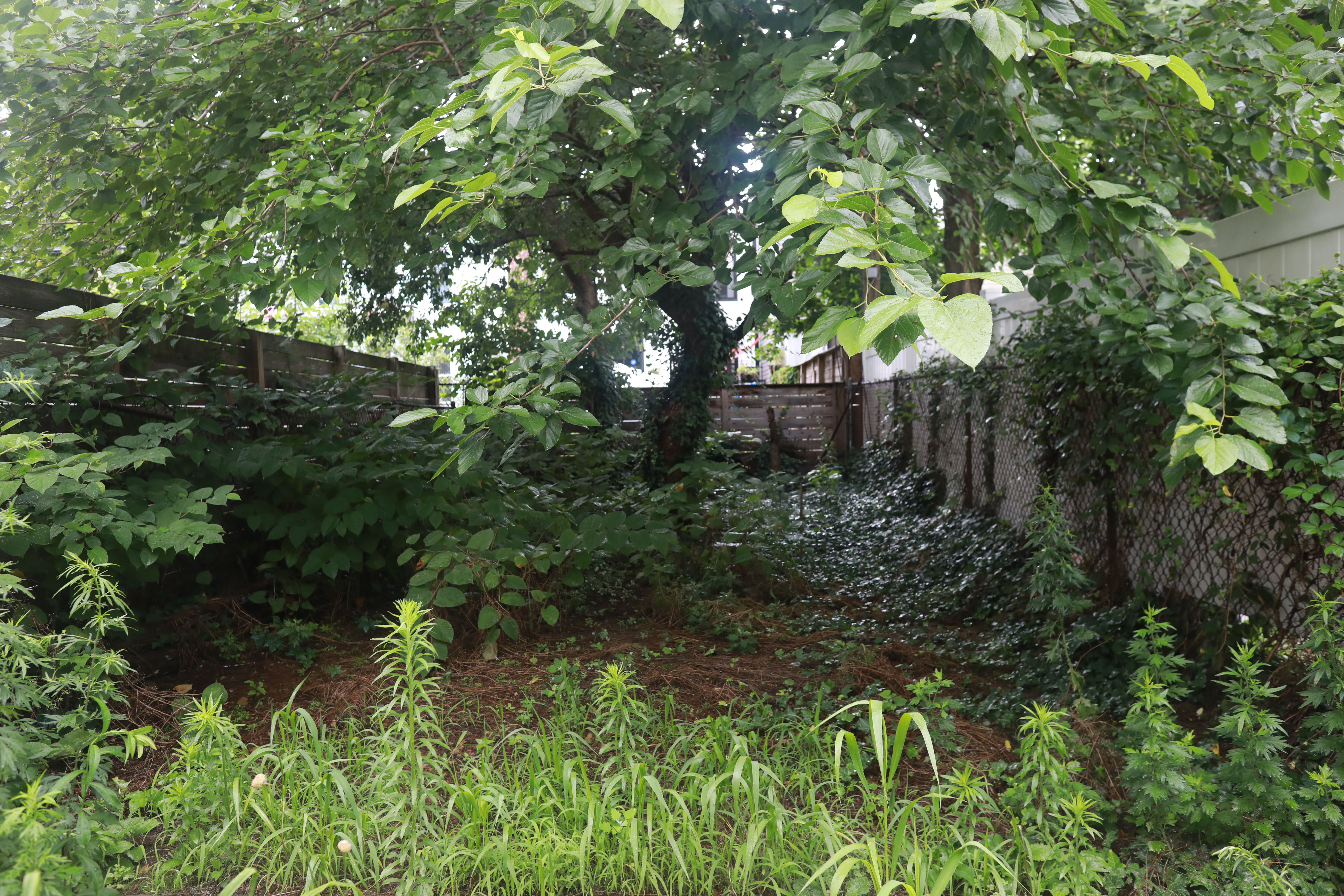 23 Pilling Street, Unit G Brooklyn, NY 11207 - Photo 18 of 19