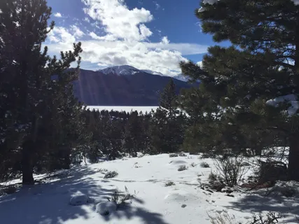 a view of a yard with snow on the road