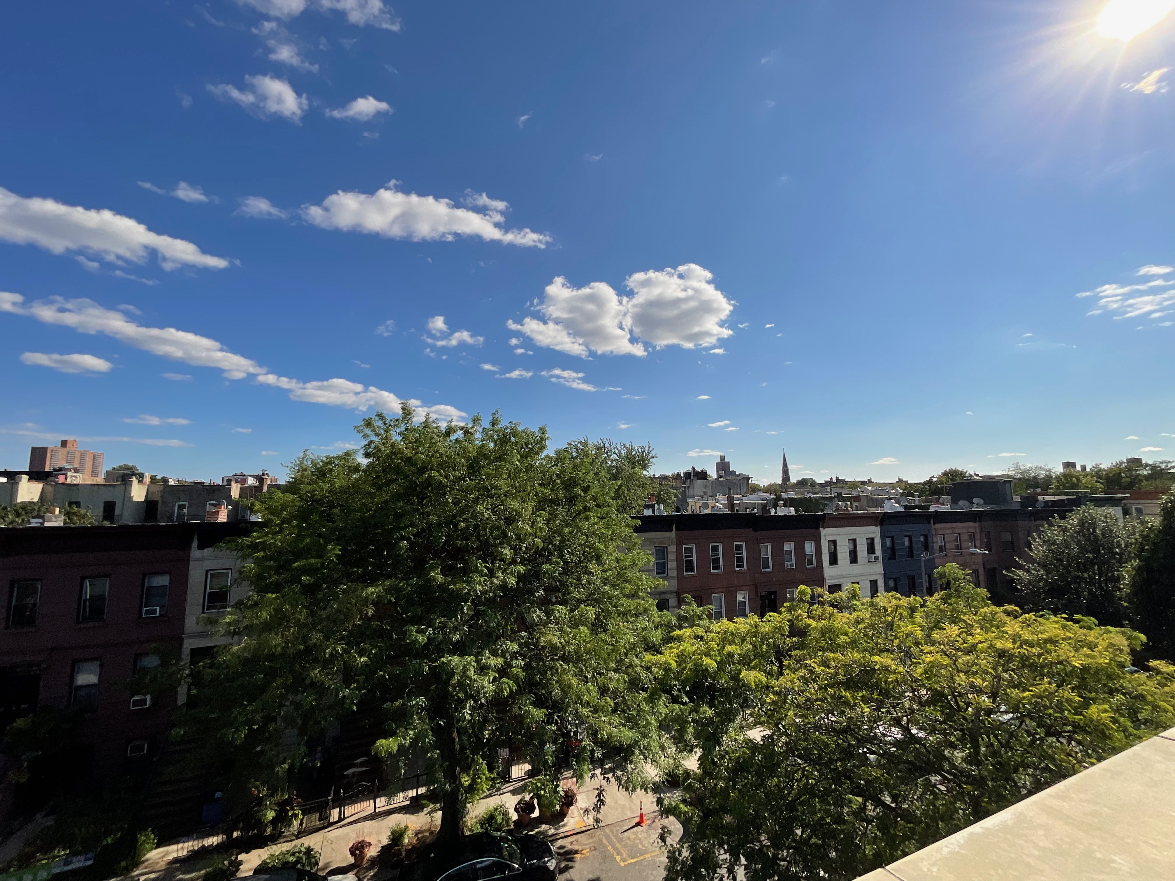 443 Bainbridge Street, Unit 3B Brooklyn, NY 11233 - Photo 18 of 22