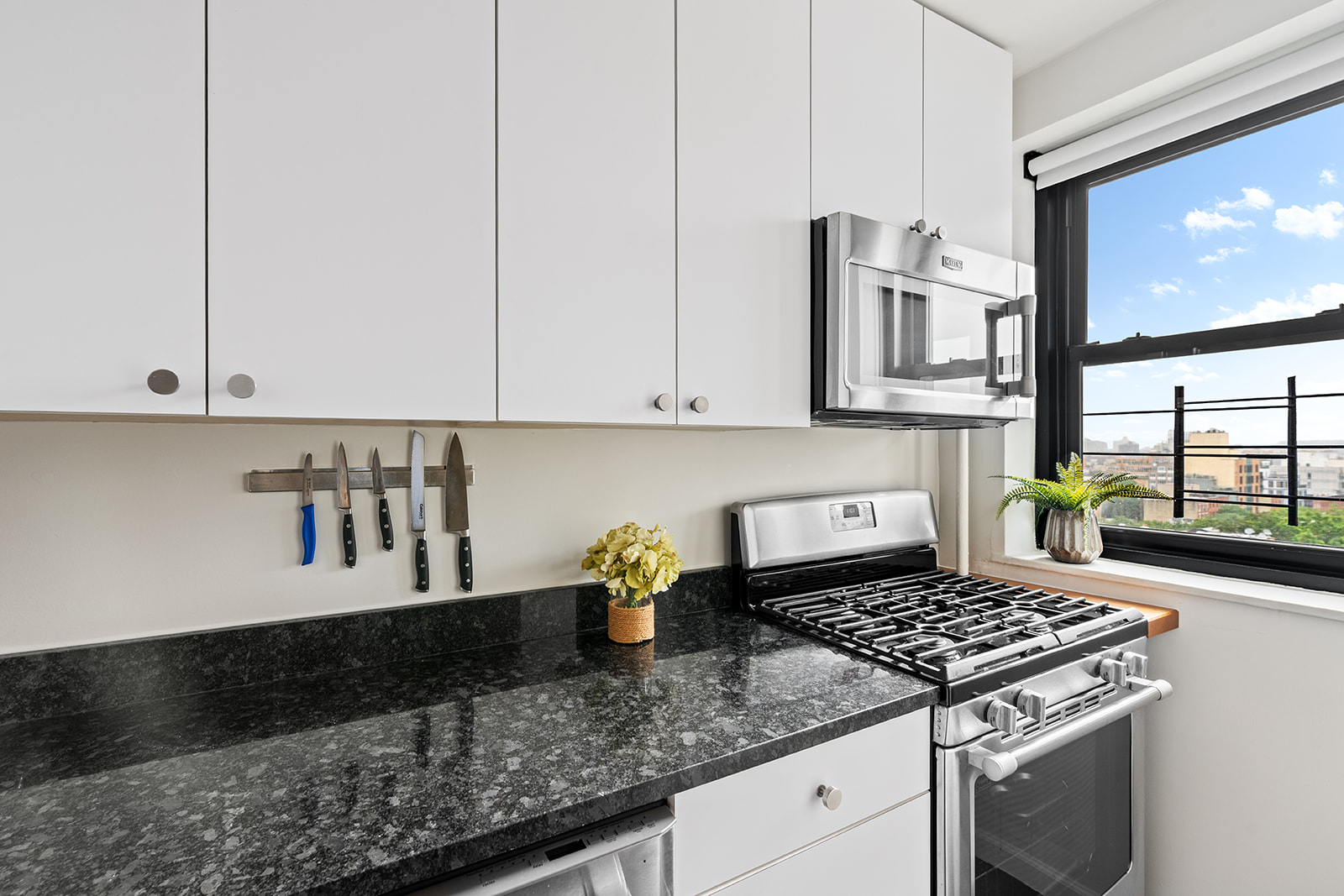 193 Clinton Avenue, Unit 9D Brooklyn, NY 11205 - Photo 5 of 11 a kitchen with stainless steel appliances granite countertop a sink stove and cabinets