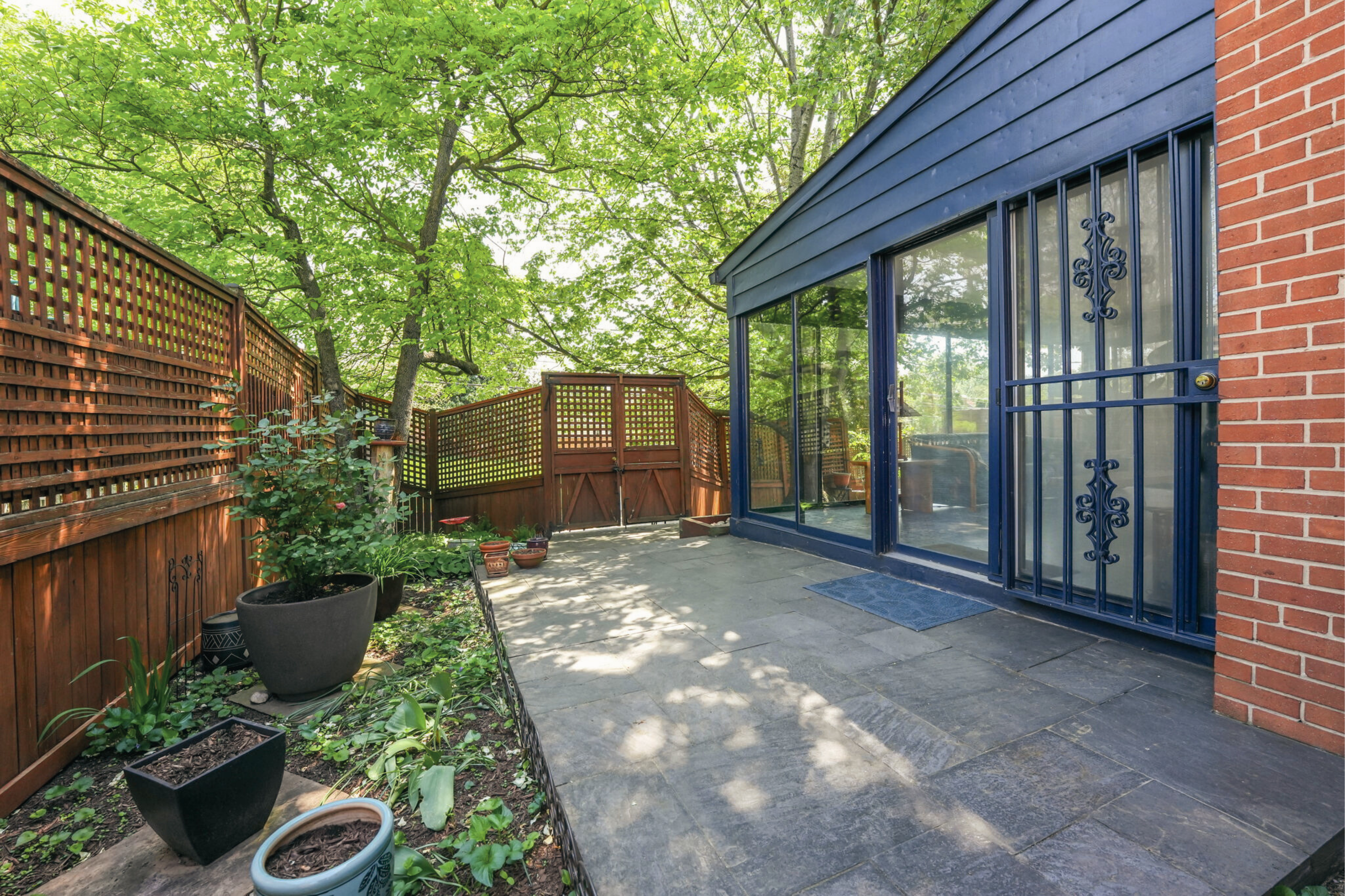 8003 16th Street Northwest Washington, DC 20012 - Photo 3 of 38 a view of a backyard with plants and large tree