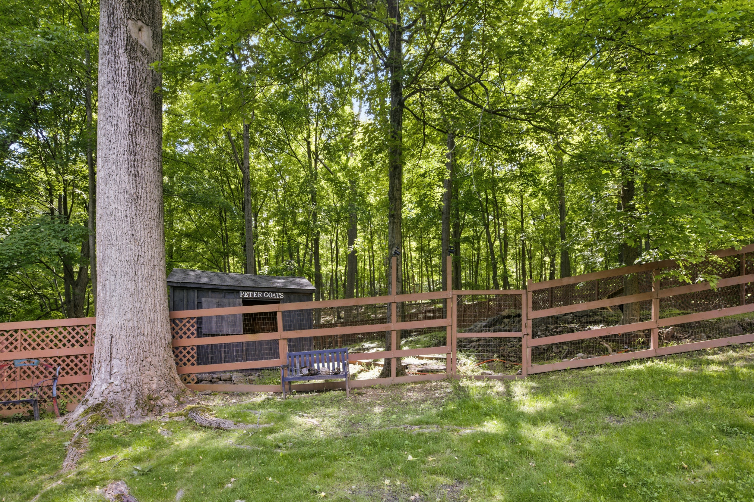 19 Pond Road Cold Spring, NY 10516 - Photo 28 of 32 a view of a wooden deck and a yard