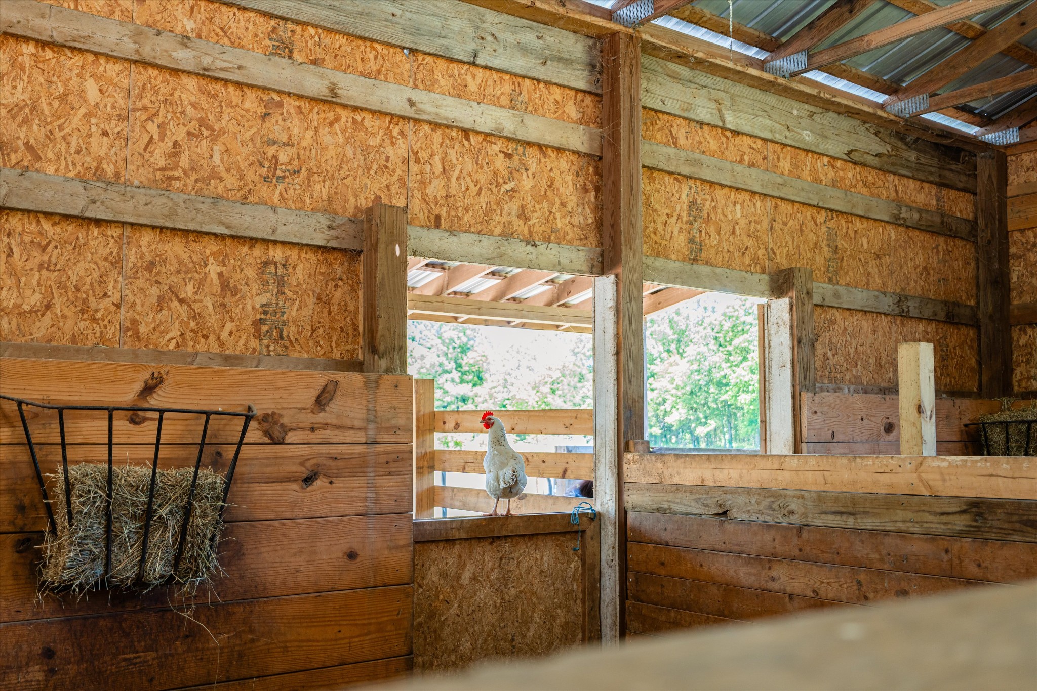 332 John Shaw Road Lewisburg, TN 37091 - Photo 59 of 79