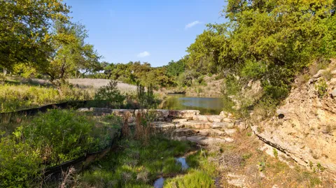a view of a green field with lots of bushes