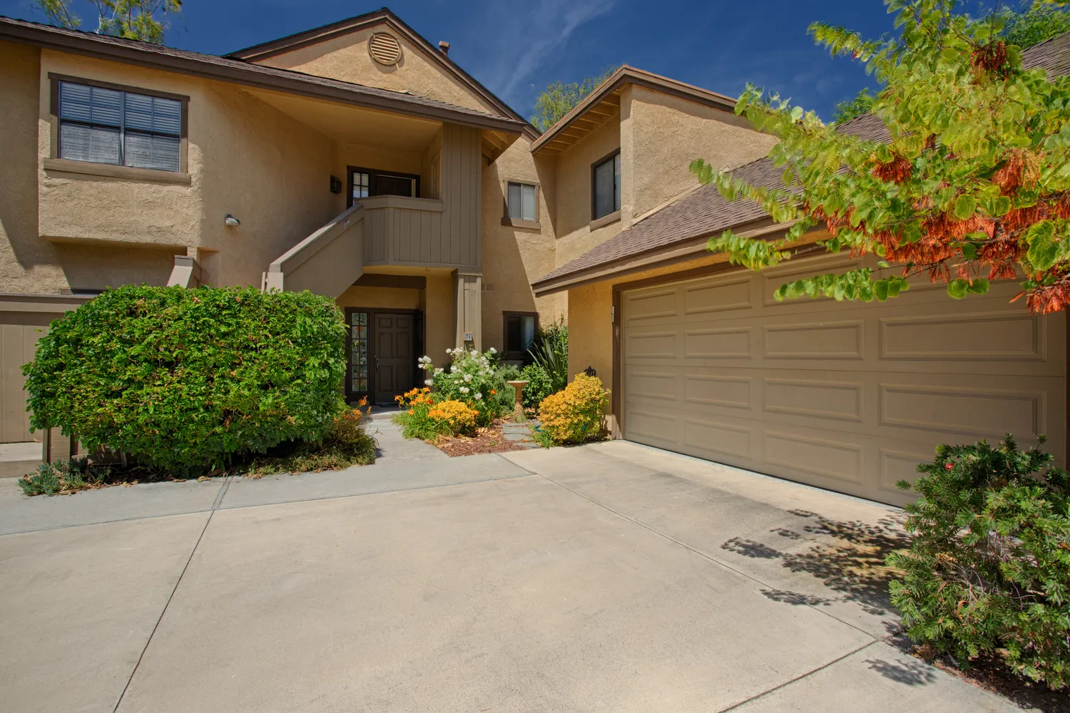 a view of a house with a small yard and plants