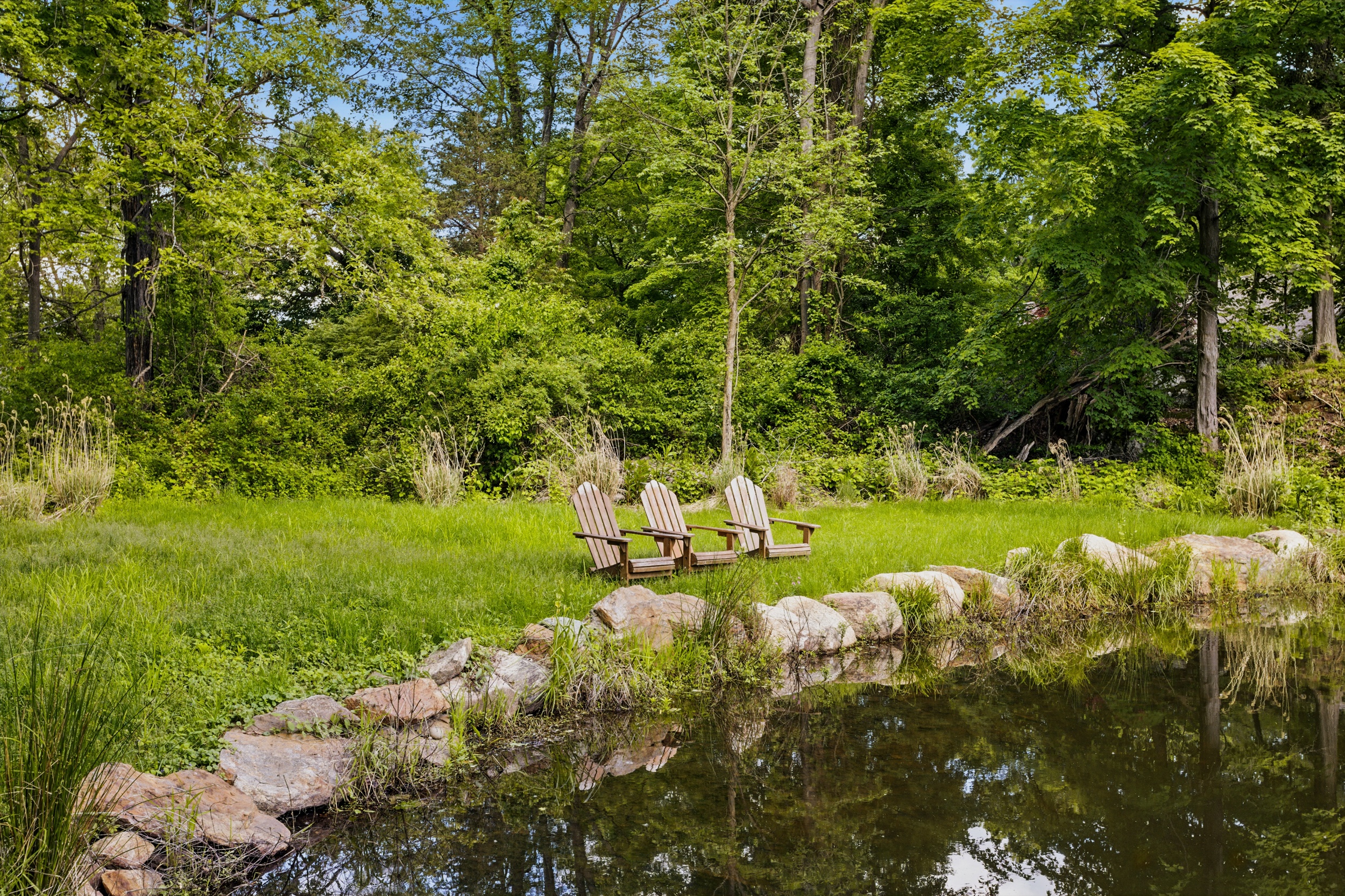 19 Pond Road Cold Spring, NY 10516 - Photo 27 of 32 a view of a park with large trees