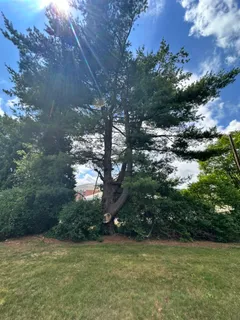 Contact Agent | 322 Lowell Street, Lexington, MA 02420
