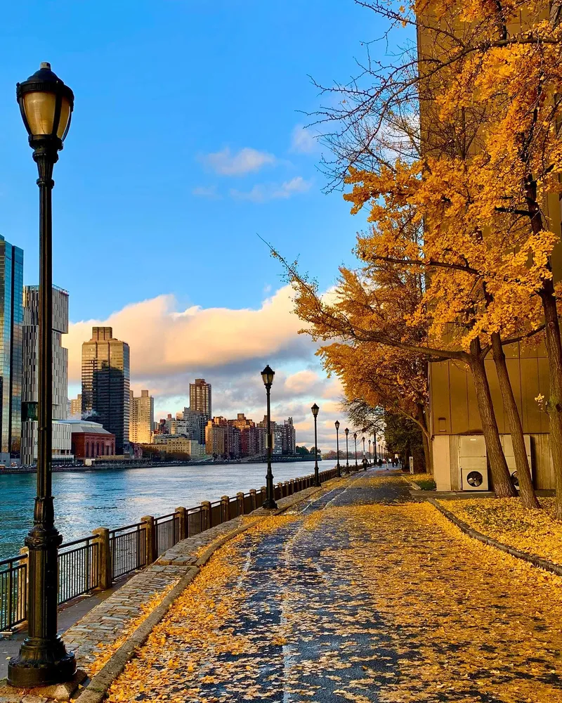 $1,040,880 | 555 Main Street, Unit 1204 | Roosevelt Island