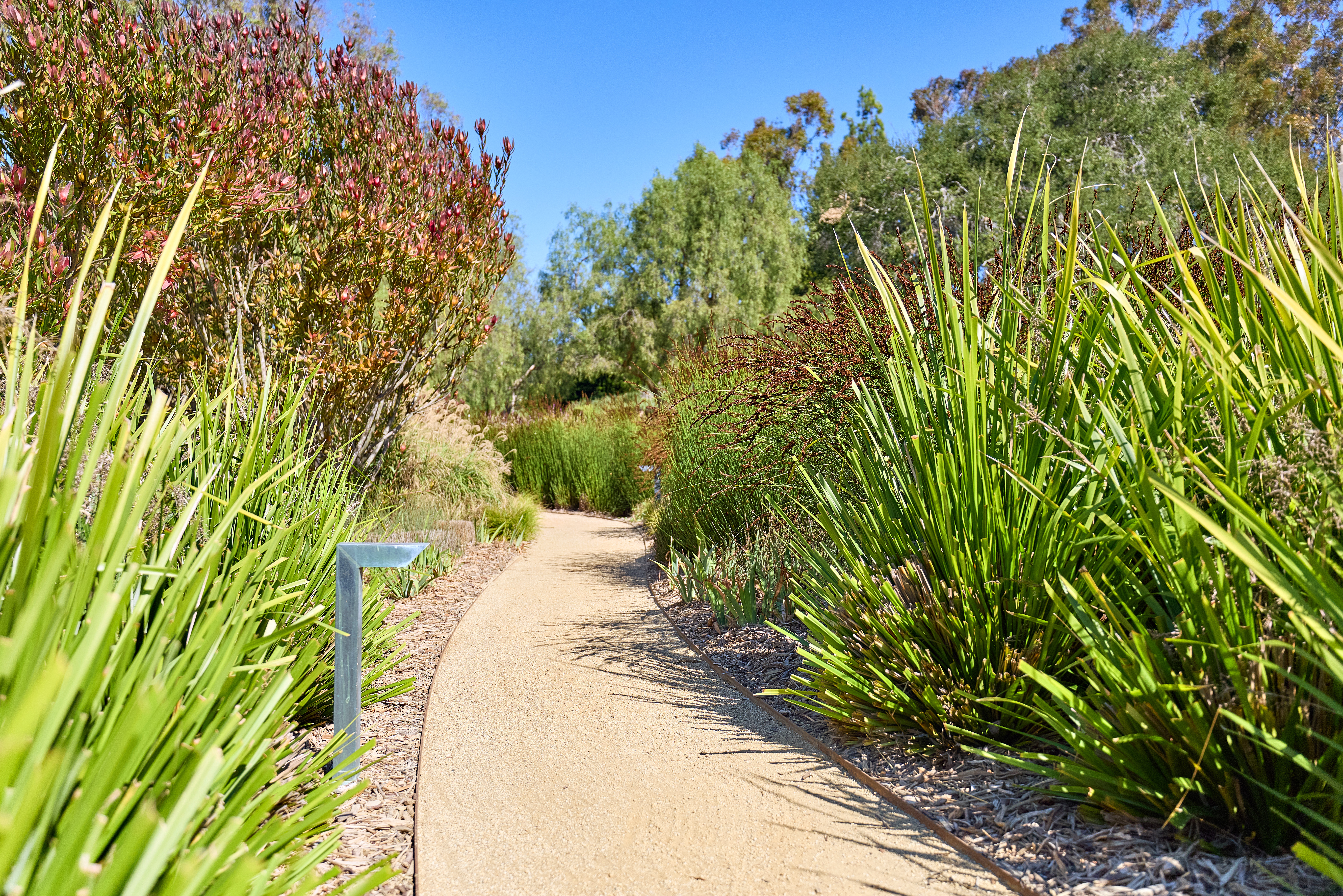 Lago Lindo Rancho Santa Fe, CA 92067 - Photo 15 of 36