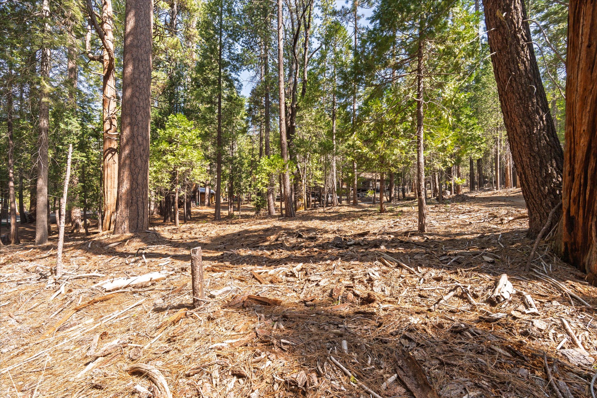 0 Koon Hollar Wawona, CA 95389 - Photo 9 of 31