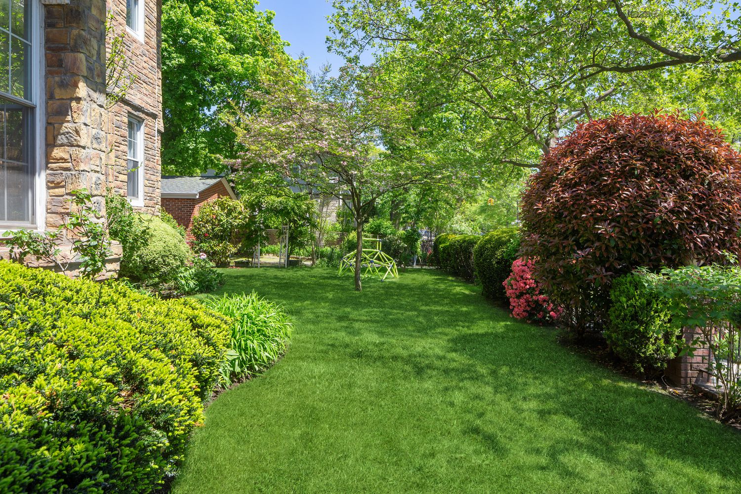 685 East 22nd Street Brooklyn, NY 11210 - Photo 34 of 43 a view of a garden with plants and large trees