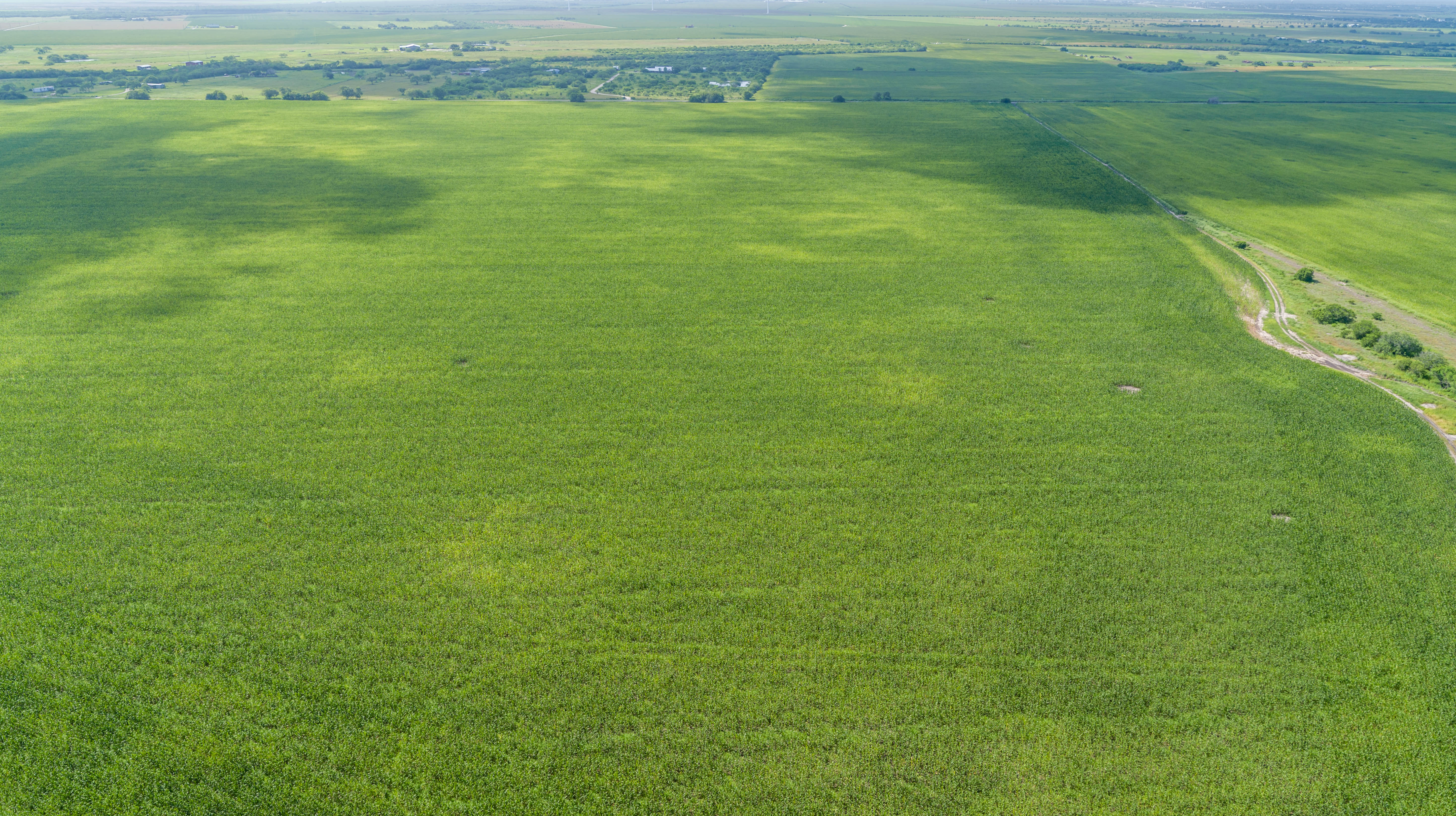 0 Fm 888 Mathis, TX 78368 - Photo 14 of 18