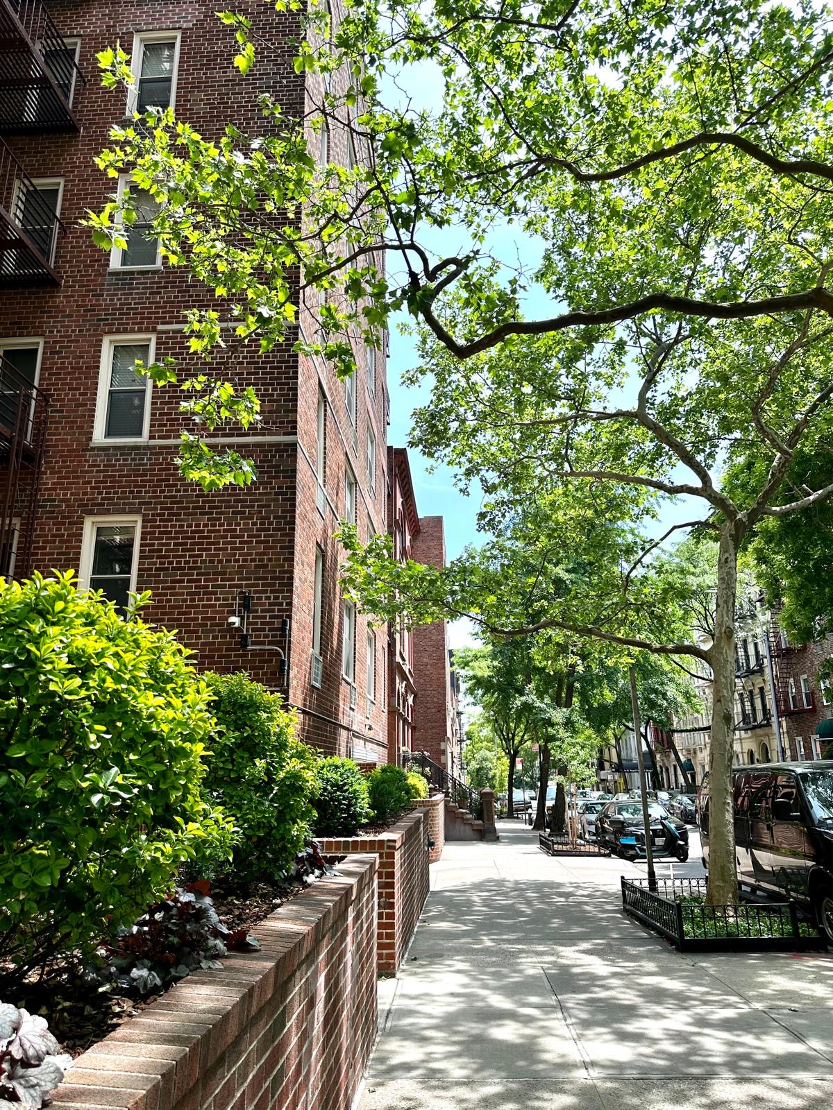 309 East 87th Street, Unit 3L Manhattan, NY 10128 - Photo 9 of 14 a view of a brick house with a large tree and flower plants