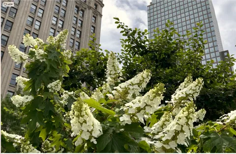 $548,000 | 88 Greenwich Street, Unit 412 | Financial District