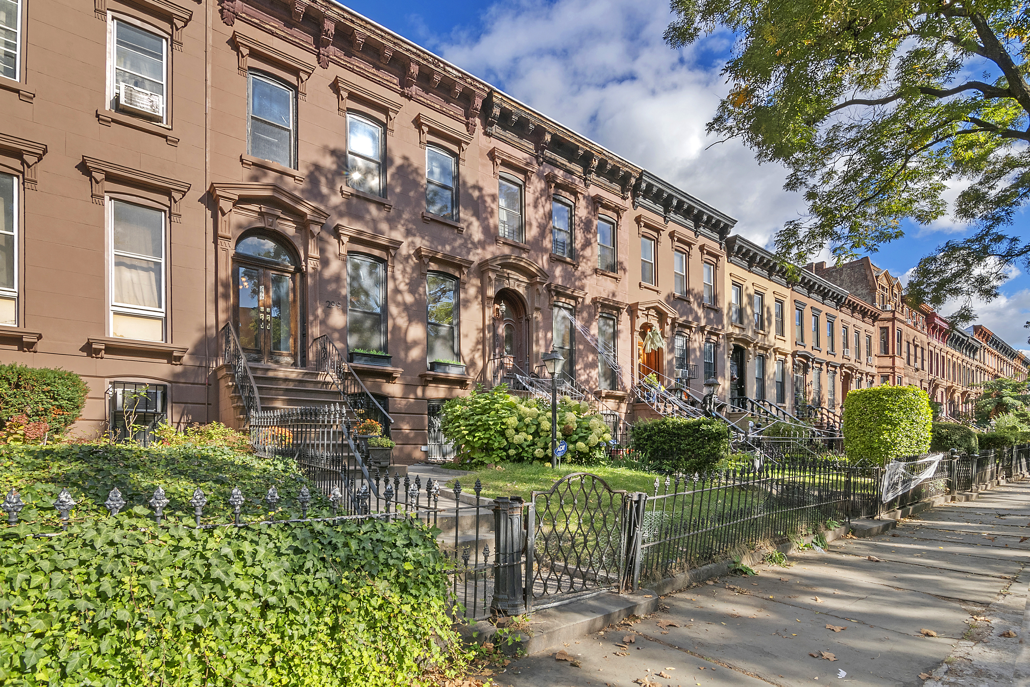 299 MacDonough Street Brooklyn, NY 11233 - Photo 19 of 20